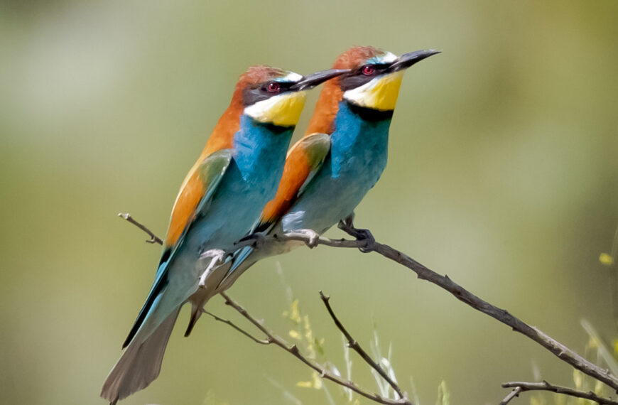 Photo Competition 2019 — winners