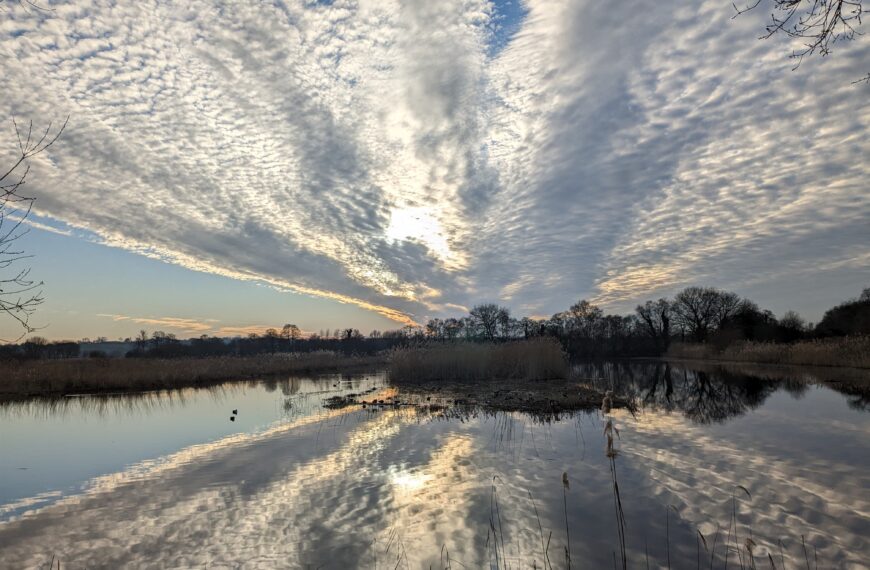 Photo Competition 2023 — winners