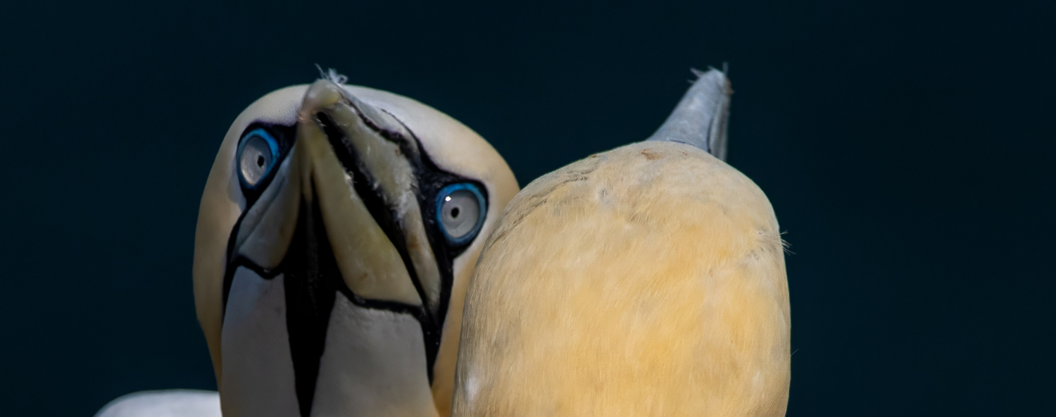 Photo competition - winners