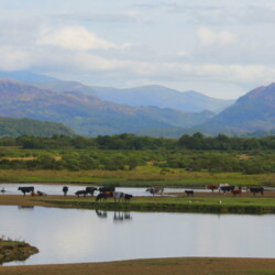 Category: Landscapes — 3rd Snowdonia from Ffestiniog Railway by John Axtell